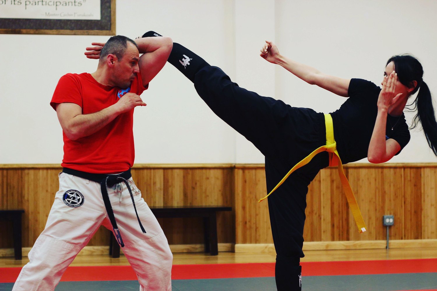 Vanessa's martial arts training